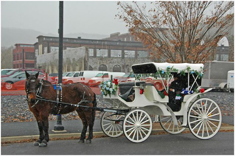 Horse and buggy 1